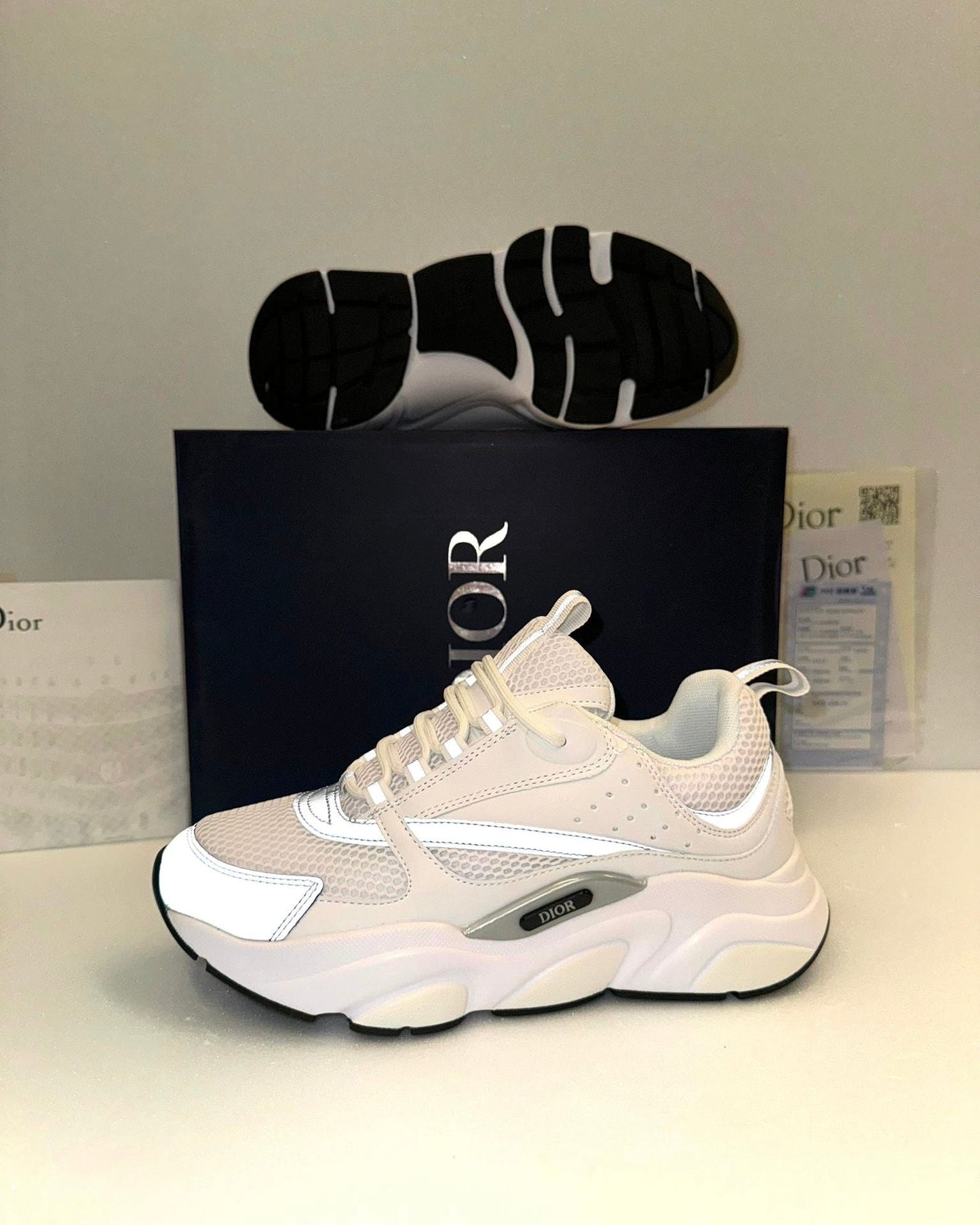 DIOR B22