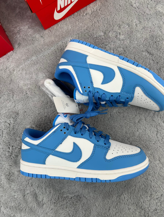 Nike Dunk 2025