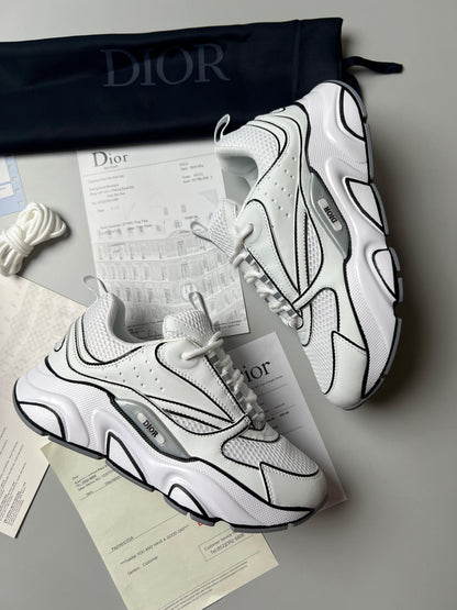 Dior B22 White Draw