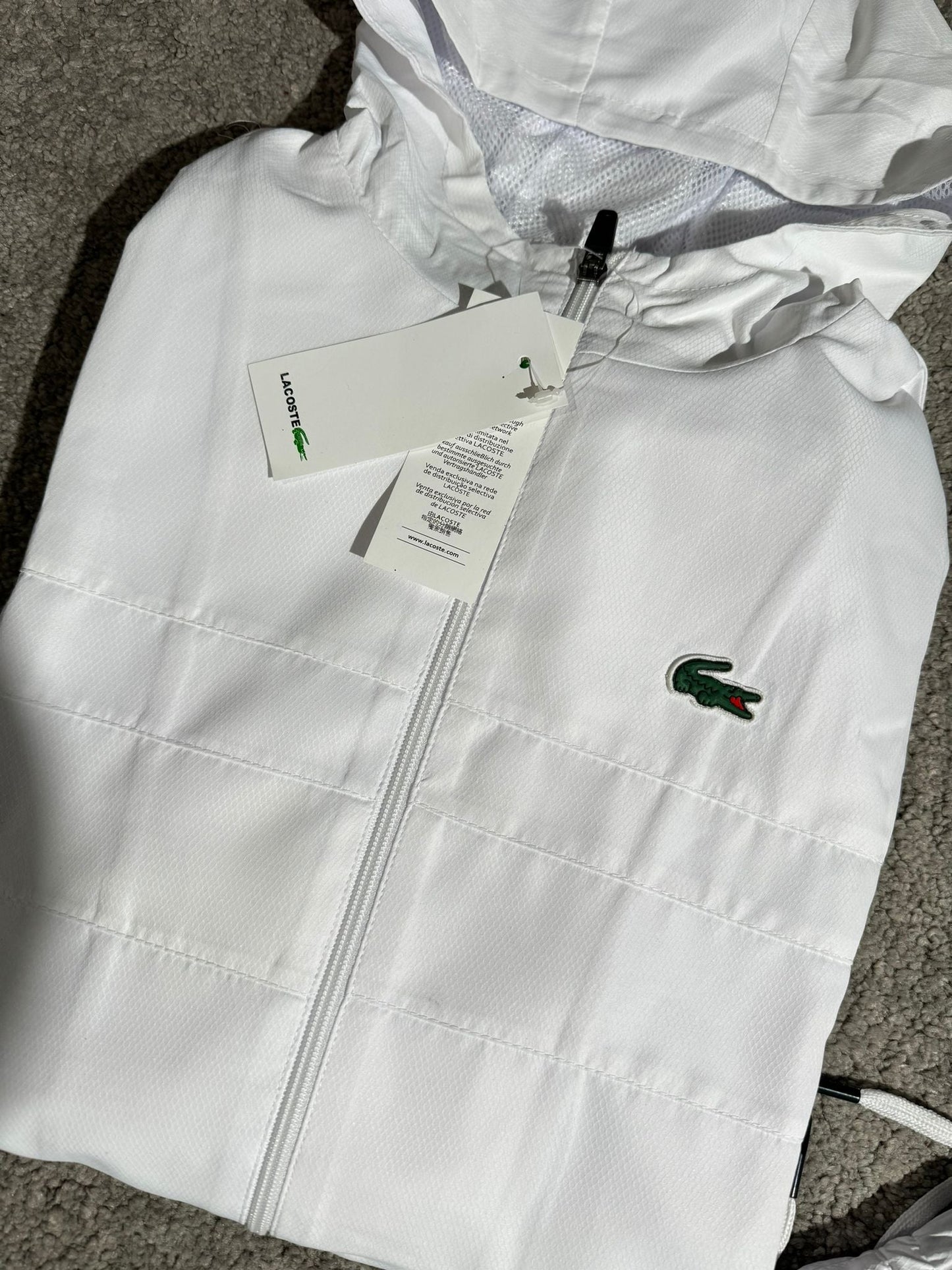 Chandal Lacoste 2026