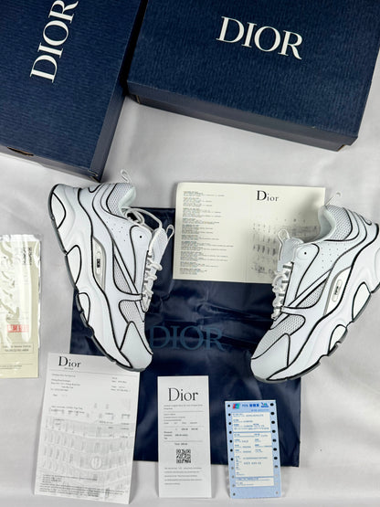 Dior B22 White Draw